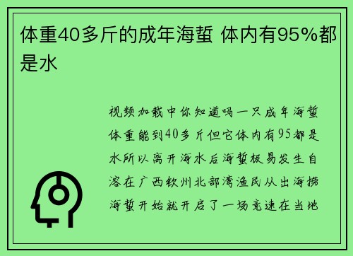 体重40多斤的成年海蜇 体内有95%都是水