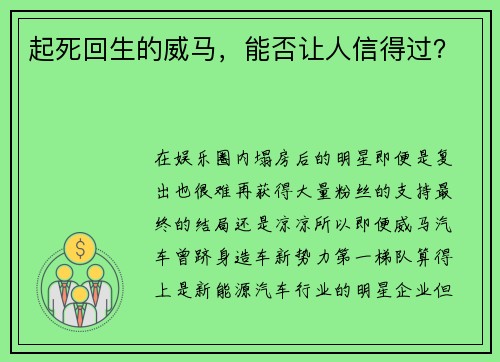 起死回生的威马,能否让人信得过?