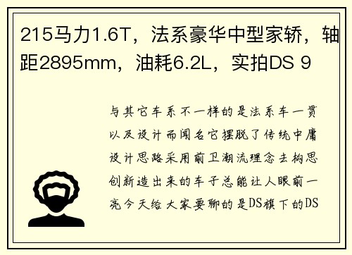 215马力1.6T，法系豪华中型家轿，轴距2895mm，油耗6.2L，实拍DS 9