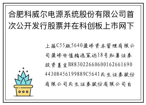 合肥科威尔电源系统股份有限公司首次公开发行股票并在科创板上市网下初步配售结果及网上中签结果公告(上接C55版)