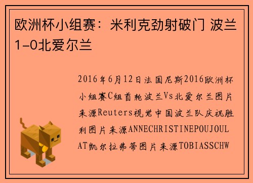 欧洲杯小组赛:米利克劲射破门 波兰1-0北爱尔兰